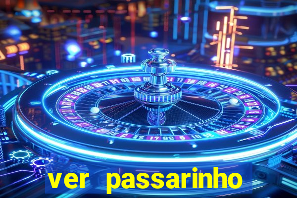 ver passarinho morto significado espiritual